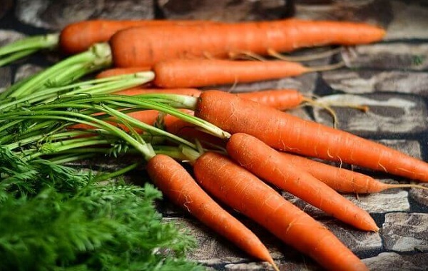 đắp mặt nạ cà rốt hàng ngày có tốt không, mặt nạ cà rốt, cà rốt, đắp mặt nạ cà rốt